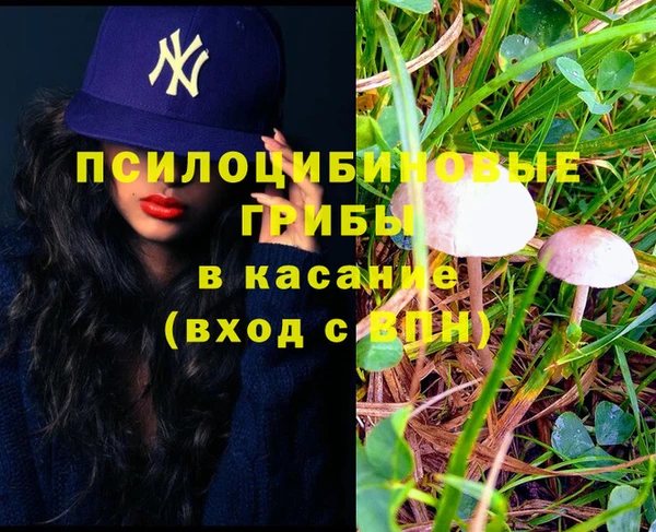 ECSTASY Балахна