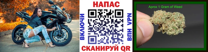 Каннабис сатива  Бирюсинск 